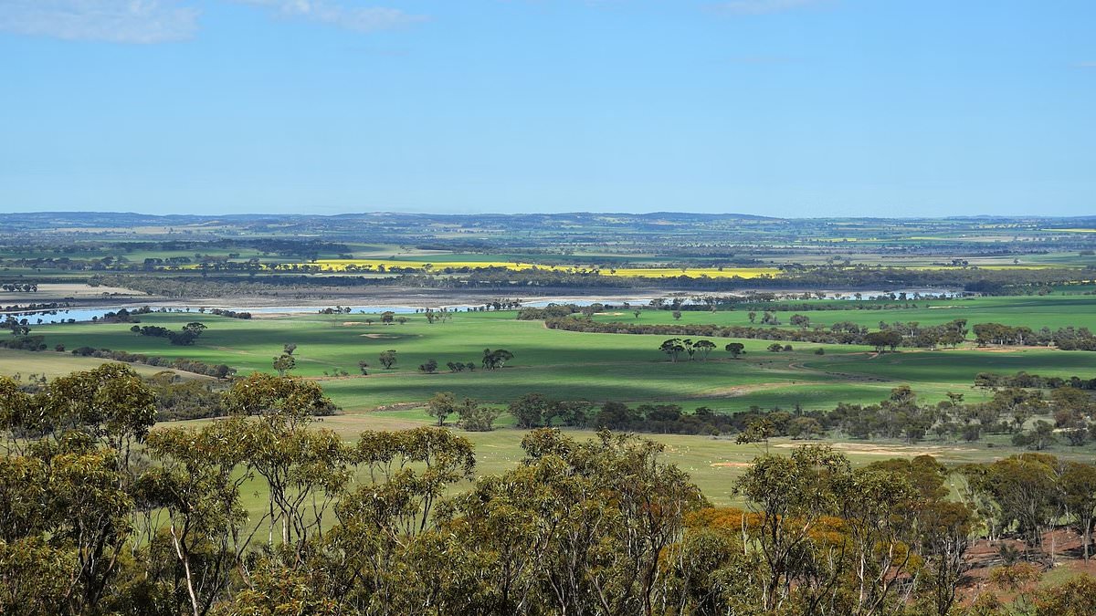 alert-–-pilot-killed-in-microlight-plane-crash-in-beverley,-western-australia