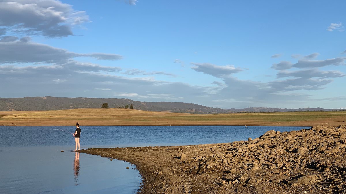 alert-–-lake-burrendong-tragedy:-toddler-killed-at-busy-holiday-park-after-horror-incident-with-ute