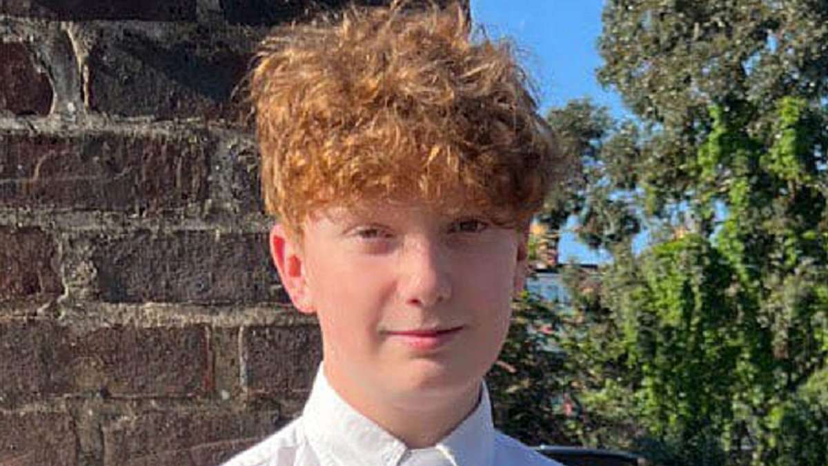 alert-–-boy,-16,-is-charged-with-murder-of-16-year-old-harry-pitman-who-was-knifed-to-death-at-primrose-hill-fireworks-on-new-year’s-eve