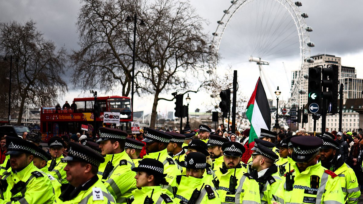 alert-–-organisers-of-palestine-protests-could-pay-towards-policing-costs,-review-by-home-office-suggests-–-as-met-police-mission-to-control-marches-cost-17m