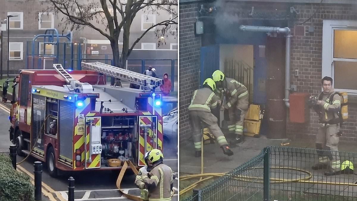 alert-–-woman-found-dead-as-inferno-ravages-flat:-dozens-of-firefighters-battle-fatal-blaze-in-hackney-–-as-police-launch-investigation-into-tragedy