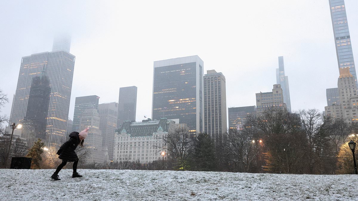 alert-–-slow-storm!-first-nor’easter-of-2024-coats-upstate-new-york-in-snow-–-with-excited-big-apple-residents-sharing-their-disappointment-as-white-stuff-melts-immediately