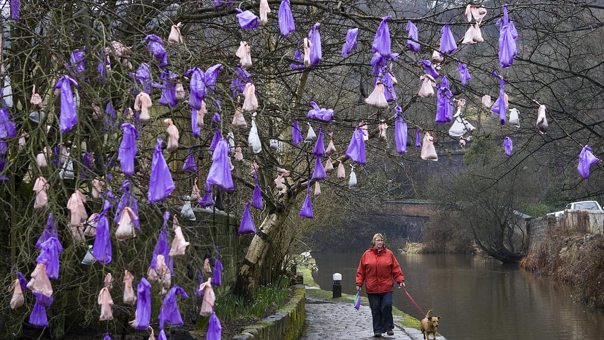 alert-–-dog-owners’-growing-movement-to-hang-poo-bags-from-trees-because-the-designated-bins-have-become-so-disgusting