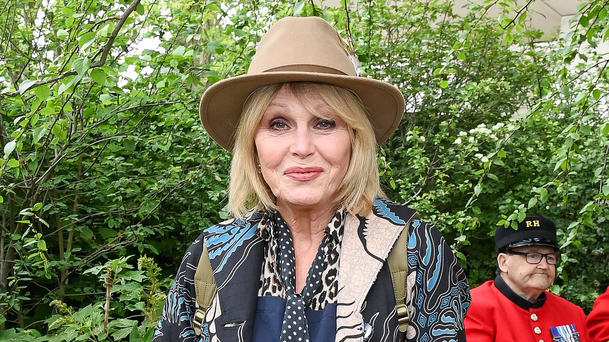 alert-–-joanna-lumley,-77,-is-set-to-star-in-huge-new-itv-travel-show-as-she-embarks-on-1,770-mile-journey-down-the-river-danube