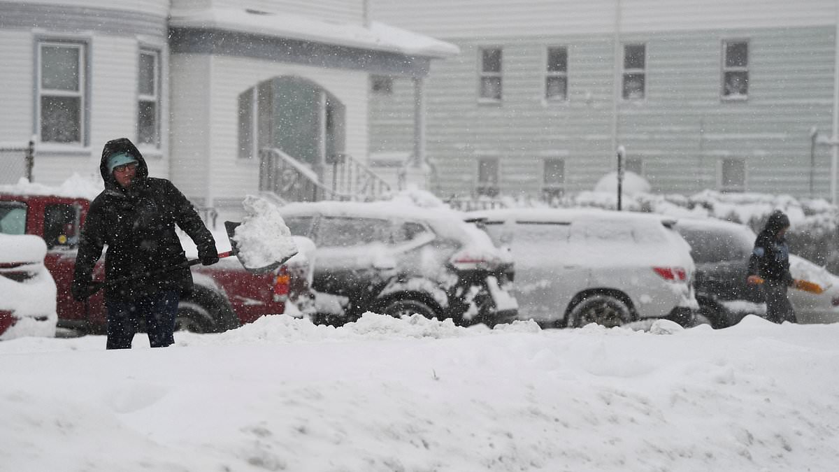 alert-–-long-time,-snow-see!-upstate-new-york-is-battered-by-brutal-nor’easter-that’s-dumped-15-inches-of-snow-on-hudson-valley-while-boston-gets-a-coating-(but-the-big-apple’s-700-day-drought-continues)