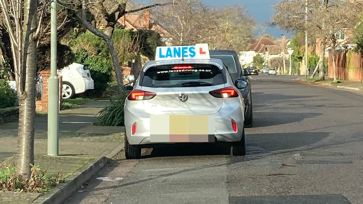 alert-–-our-leafy-london-suburb-has-become-a-magnet-for-learner-drivers-–-we’re-fed-up-of-their-terrible-three-point-turns!-residents-go-to-war-with-local-driving-schools-after-influx-of-amateur-motorists