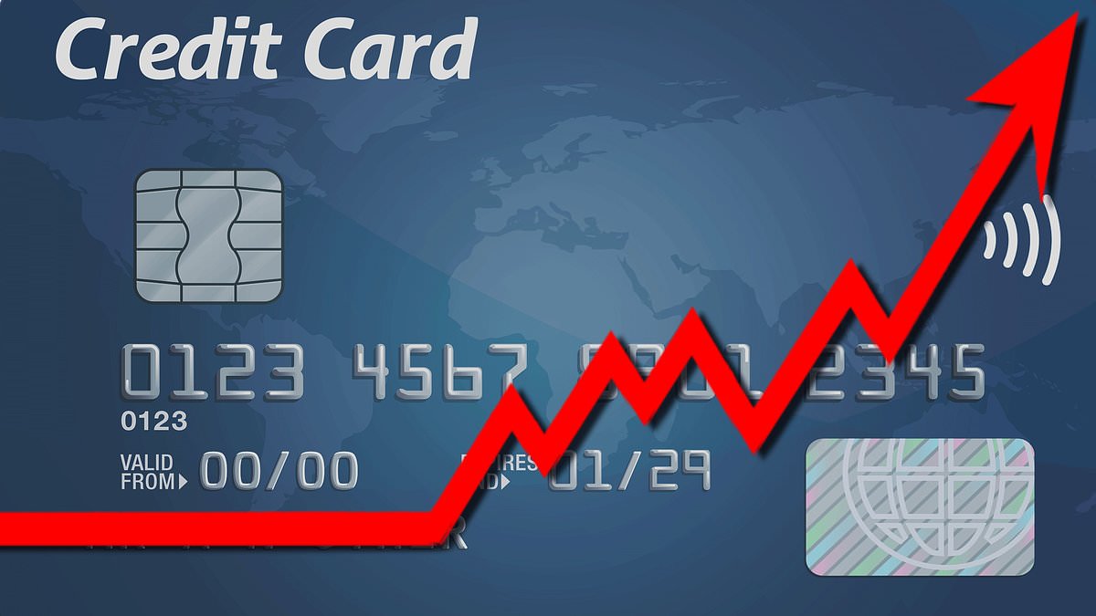 alert-–-56-million-credit-cardholders-have-been-in-debt-for-at-least-a-year-as-american-borrowing-soars-to-record-highs-–-here-is-how-to-reduce-your-balance,-according-to-an-expert