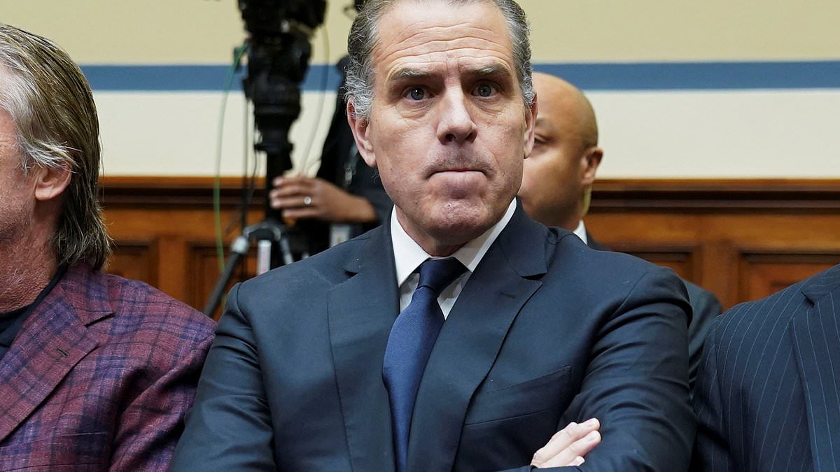 alert-–-‘do-you-have-a-dad?-would-you-pick-up-the-phone-if-he-called?’:-hunter-biden-hits-back-at-reporter-asking-why-he-got-dad-joe-on-speaker-phone-more-than-20-times-with-business-associates-as-he-sparks-a-circus-in-congress