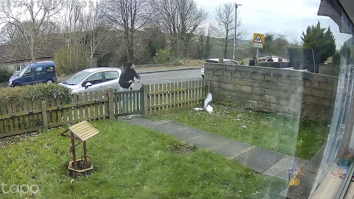 alert-–-cctv-captures-moment-evri-driver-chucks-parcel-like-a-frisbee-down-a-garden-path-–-leaving-dents-in-the-package