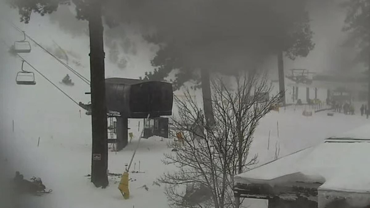 alert-–-several-people-rescued-after-avalanche-at-palisades-tahoe-ski-resort-in-california-as-search-continues-for-skiers-trapped-under-snow