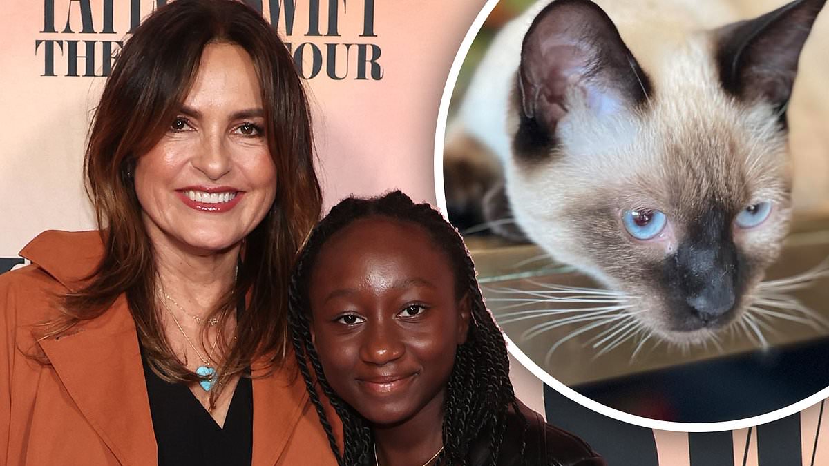 alert-–-mariska-hargitay’s-daughter-amaya,-12,-helped-name-their-siamese-cat-after-taylor-swift’s-song-karma:-‘she-wasn’t-having-it-any-other-way’