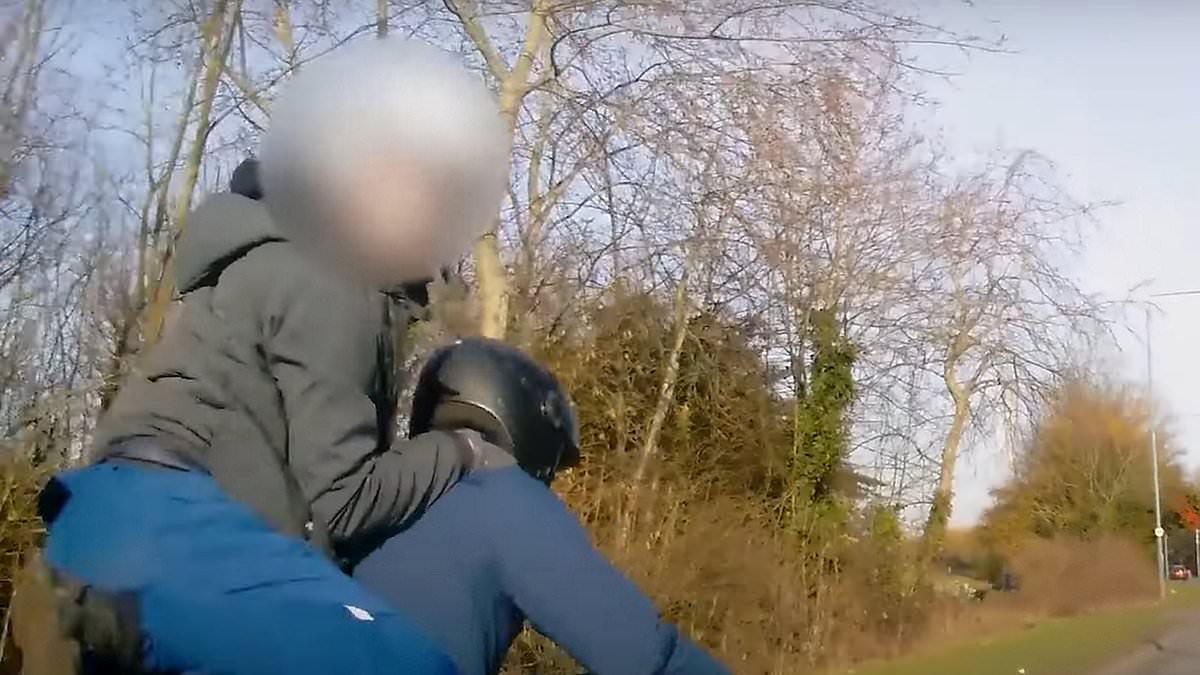 alert-–-who’s-laughing-now?-moment-two-bungling-brothers-are-sent-flying-off-stolen-motorbike-after-being-shunted-by-police-car-during-chase