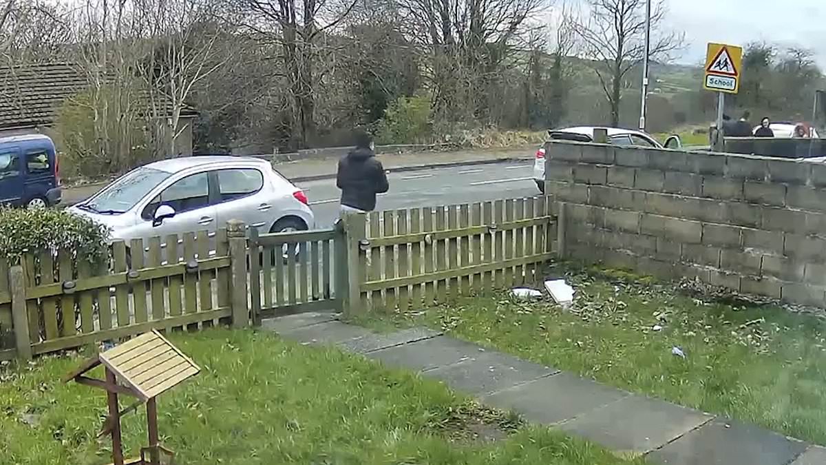 alert-–-evri-delivery-driver-who-hurled-parcel-across-driveway-like-a-frisbee-‘was-too-busy-chatting-up-the-neighbours’-–-as-mother-of-two-says-jigsaw-meant-for-her-son-was-smashed-by-the-throw