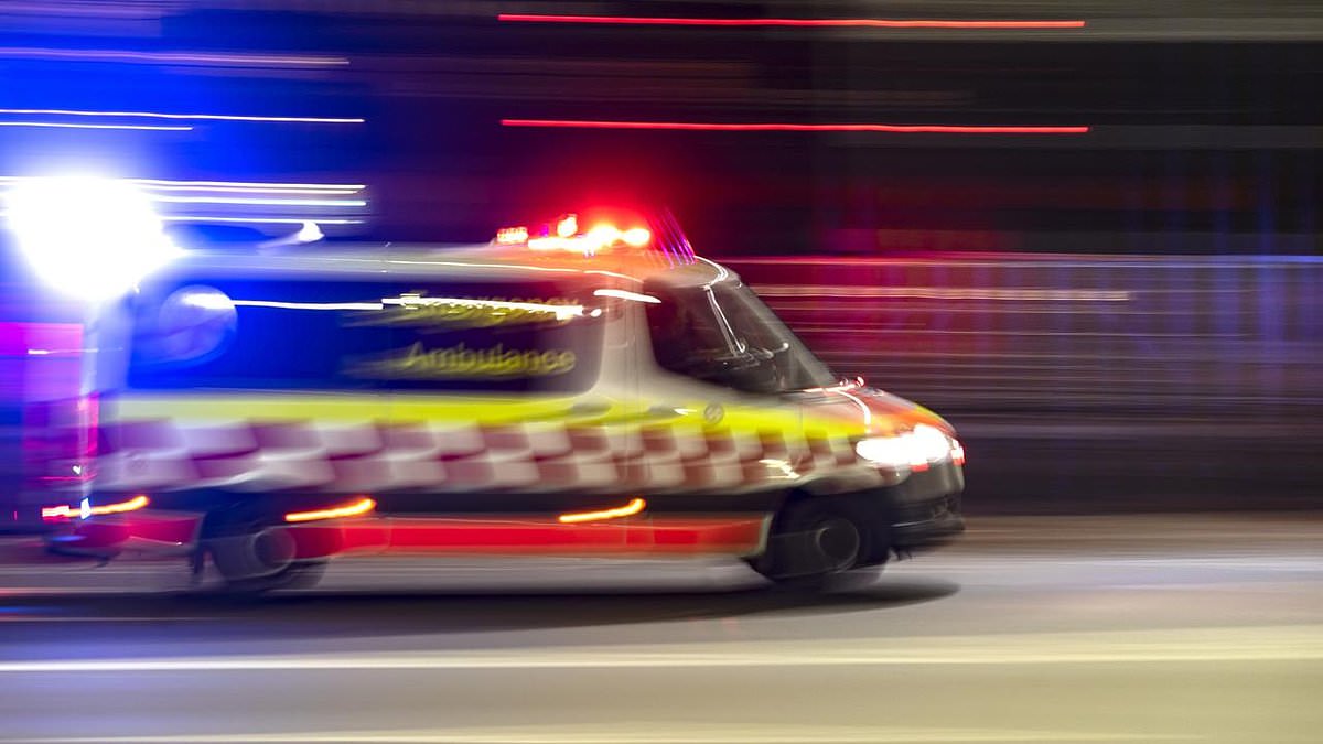 alert-–-echuca-crash:-one-person-dead-and-child-fighting-for-life-after-car-smashed-into-a-tree-and-burst-into-flames