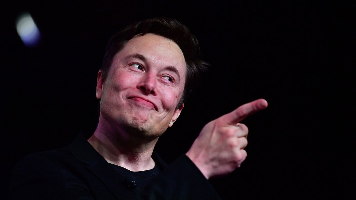 alert-–-elon-musk’s-provocative-posts-on-migrants,-dei-and-elections-see-him-branded-as-heir-to-donald-trump-who’s-even-more-influential-than-the-former-president