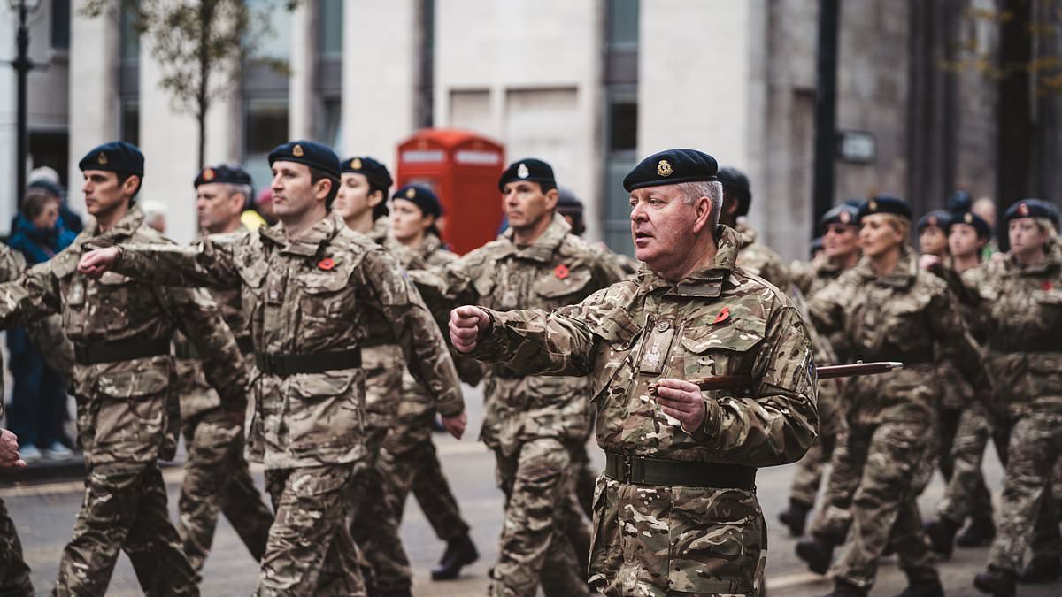 alert-–-three-in-10-armed-forces-troops-are-not-fully-fit-for-the-frontline-with-a-third-of-raf-personnel-affected-by-physical-or-mental-issues,-figures-reveal