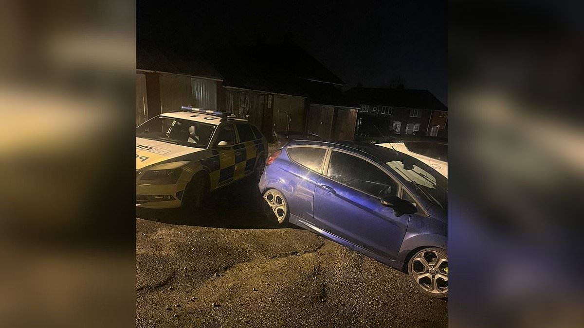 alert-–-burglary-victim-forced-to-pay-192-by-police-to-get-his-stolen-ford-fiesta-back-–-after-he-helped-them-track-it-down-when-it-was-‘obliterated’-by-joy-riders