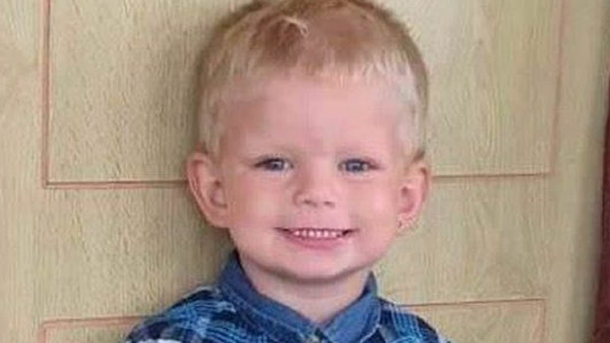 alert-–-grieving-family-of-five-year-old-boy-who-died-after-swallowing-a-drawing-pin-say-they-are-‘broken-beyond-words’