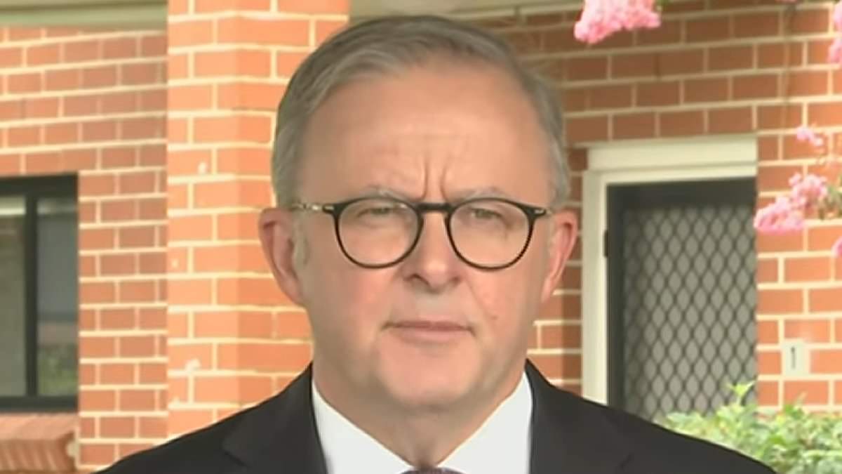 alert-–-anthony-albanese-announces-new-cost-of-living-support-for-tens-of-thousands-of-australians-–-and-it-will-make-greens-voters-very-happy