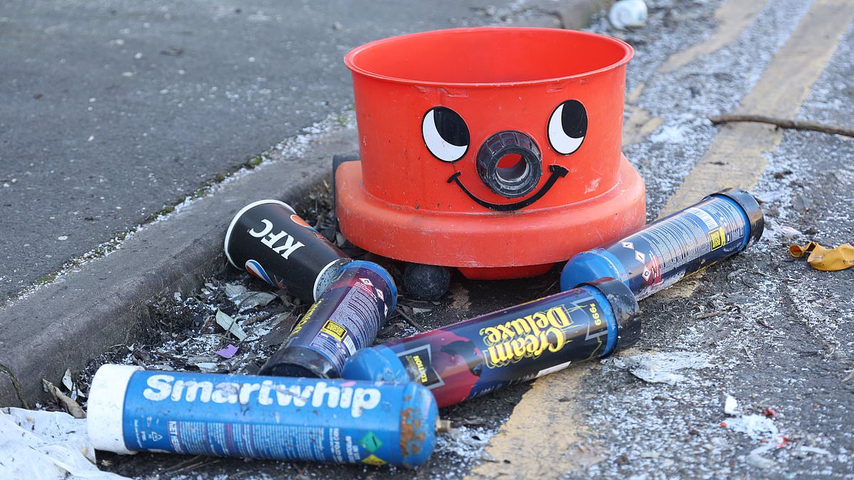 alert-–-fly-tippers-turn-trendy-birmingham-neighbourhood-into-a-graffiti-covered-wasteland-as-they-vandalise-cars-and-dump-rubbish-including-furniture,-laughing-gas-canisters-and-even-a-henry-hoover