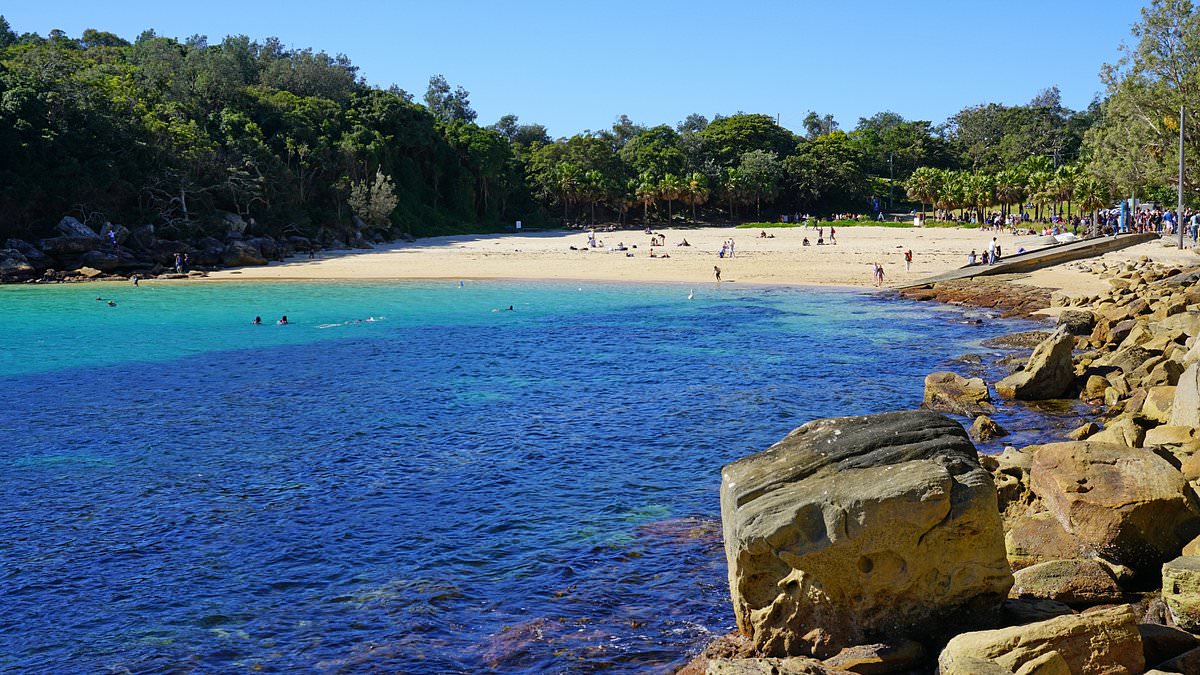 alert-–-manly-drowning:-newlywed-dies-at-shelly-beach-on-her-honeymoon