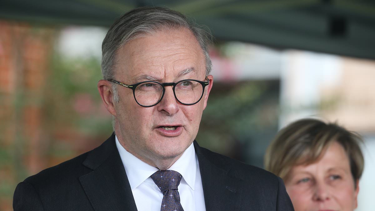 alert-–-anthony-albanese-under-fire-for-rejecting-push-to-review-supermarket-conduct-a-year-ago