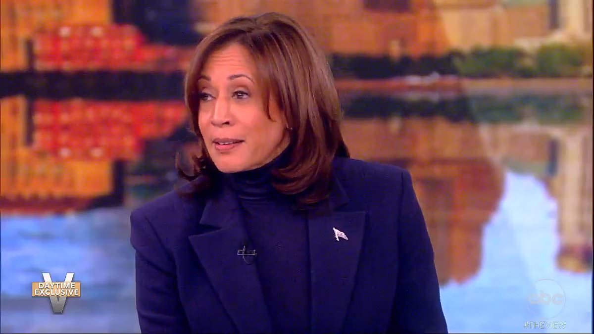 alert-–-kamala-harris-tells-the-view-she’s-‘scared-as-heck’-of-trump-being-re-elected:-defends-biden,-81,-over-his-age