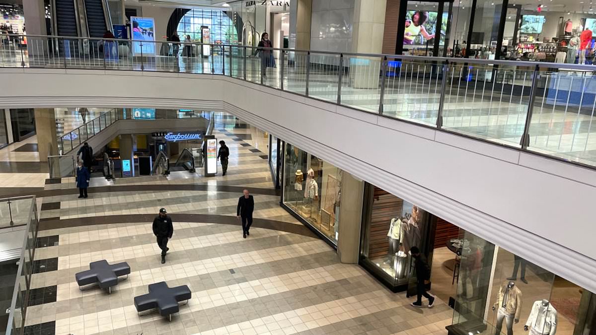 alert-–-san-francisco’s-dying-westfield-mall-loses-one-billion-dollars-in-value-in-seven-years-and-is-now-worth-just-$290m,-as-tourists-are-filmed-wandering-crime-ridden-city’s-shuttered-downtown