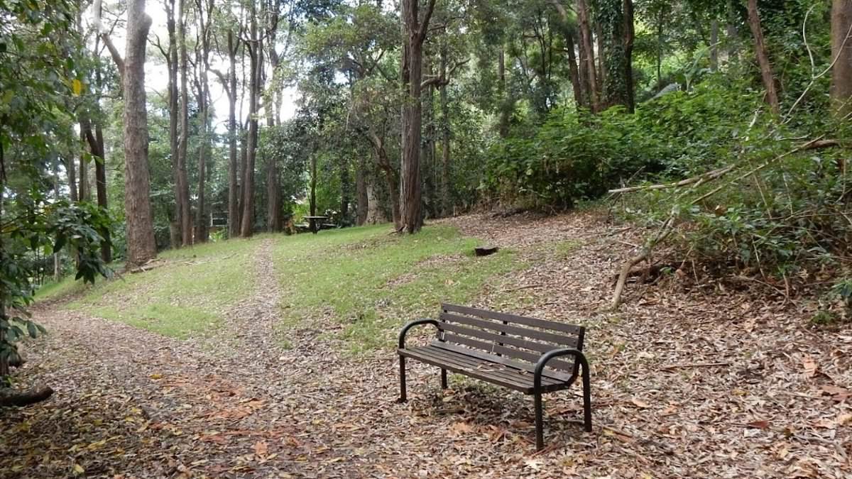 alert-–-startling-warning-sign-appears-in-eastwood-park-after-ryde-council-was-stung-into-action-by-‘a-number-of-incidents’