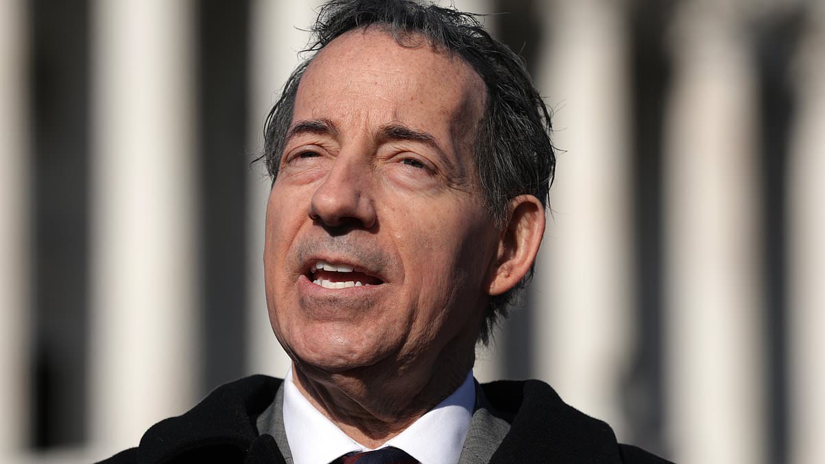 alert-–-democrat-jamie-raskin-accuses-republicans-of-‘driving’-hunter-biden-to-a-drug-‘relapse’-as-they-question-his-close-relationship-with-‘sugar-brother’-kevin-morris