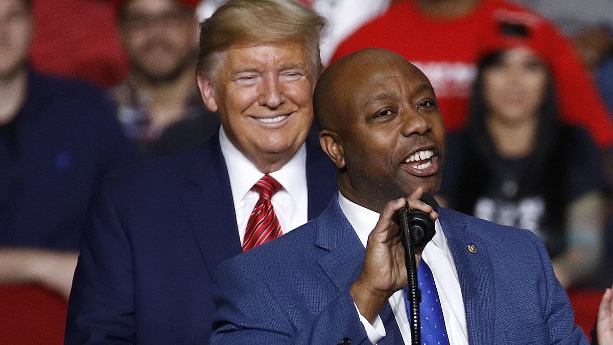 alert-–-tim-scott-to-endorse-donald-trump-ahead-of-new-hampshire-primary