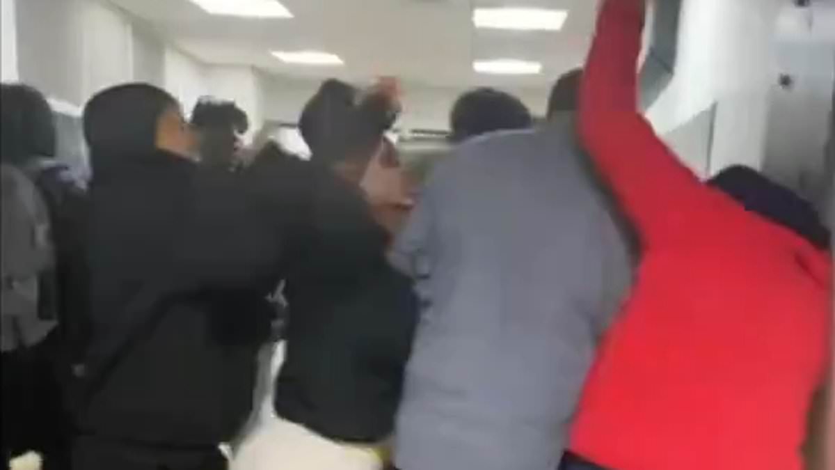 alert-–-huge-‘race-fueled’-brawl-between-black-and-somalian-students-breaks-out-at-minneapolis-high-school-with-parents-who-got-involved-arrested-by-cops