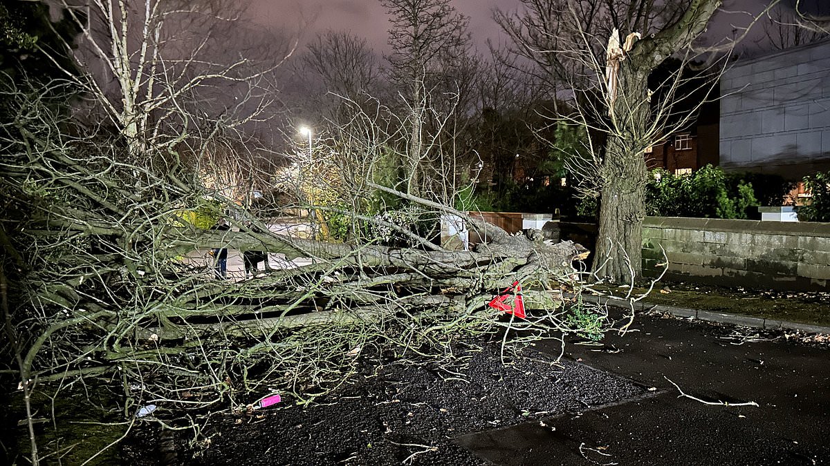 alert-–-storm-isha-sparks-day-of-travel-hell-with-trains-cancelled,-roads-flooded,-ferries-disrupted-and-flights-grounded-after-100mph-gusts-and-heavy-downpours