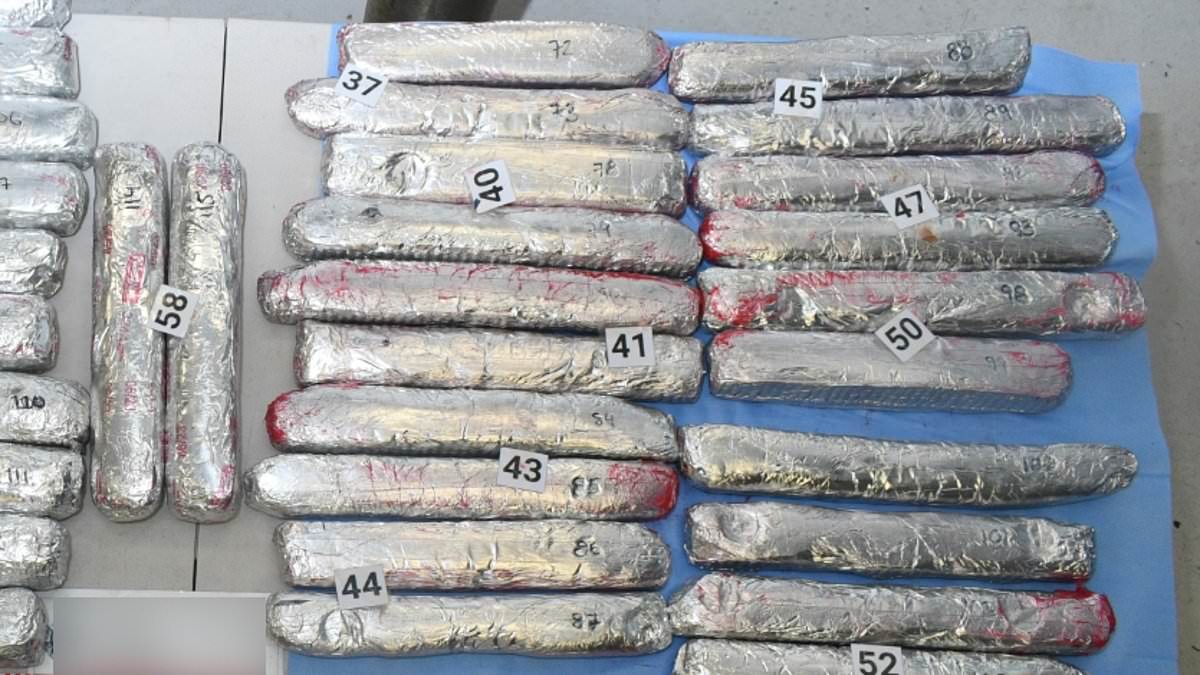 alert-–-huge-100-kilo-haul-of-meth-found-at-fyshwick-by-australian-border-force-stashed-in-a-shipment-of-car-radiators-from-the-us