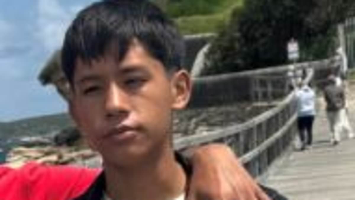 alert-–-mystery-deepens-as-search-continues-for-schoolboy-who-vanished-on-a-school-trip-in-sydney-five-days-ago