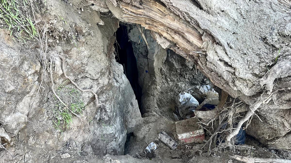 alert-–-california-homeless-people-are-found-living-inside-caves-20-below-street-level-complete-with-home-furnishings-–-as-democrat-state-grapples-with-vagrancy-and-la-begins-annual-count-of-those-living-rough