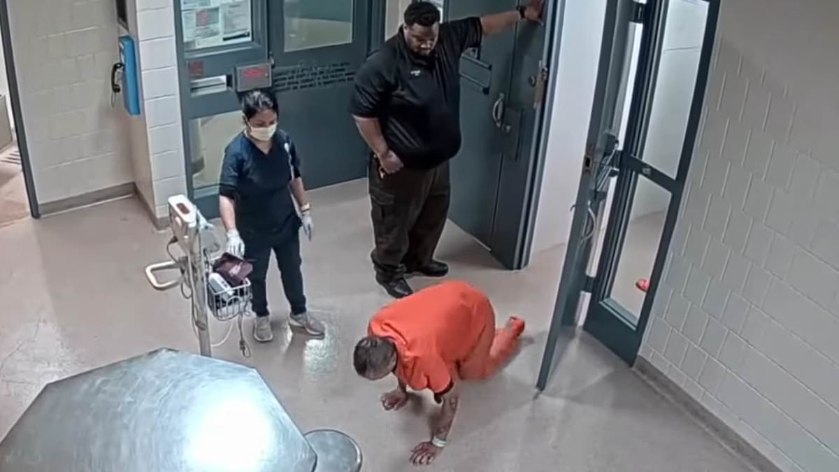 alert-–-minnesota-jail-workers-ignored-inmate’s-pleas-for-help-as-he-crawled-around-on-the-floor-of-prison-in-pain-before-he-died-of-perforated-bowel,-lawsuit-claims