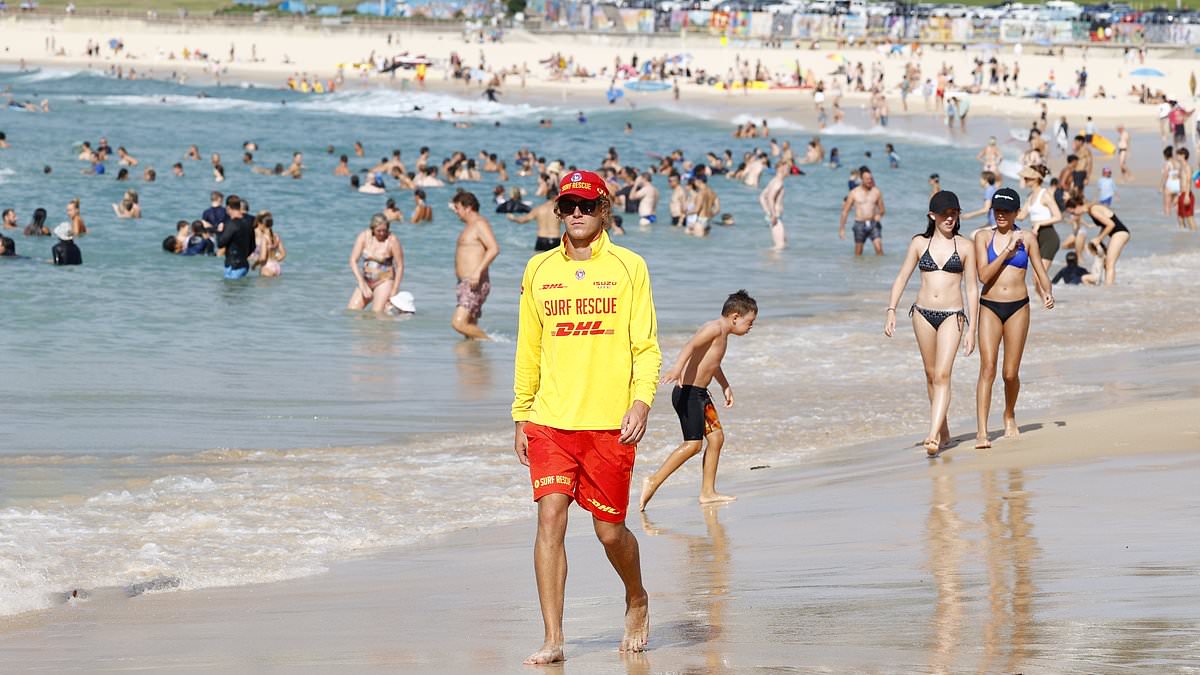 alert-–-brutal-australia-day-heatwave-about-to-strike:-here’s-how-hot-it-will-get-in-your-city