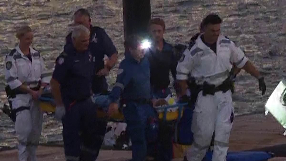 alert-–-shark-attack-elizabeth-bay-sydney-harbour:-update-after-woman-is-rushed-to-hospital-after-being-mauled:-‘blood-everywhere’