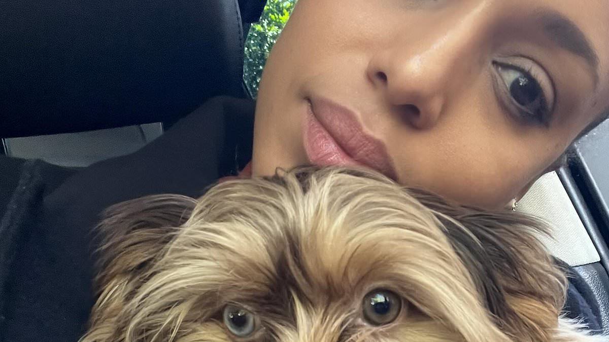 alert-–-kerry-washington-introduces-fans-to-her-adorable-new-‘furbaby’-cinnamon…-after-wishing-oprah-a-happy-70th-birthday