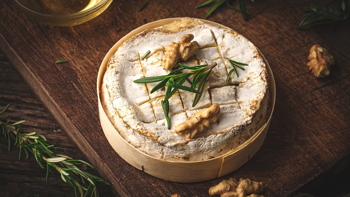 alert-–-camembert-cheese-and-brie-could-become-extinct-because-of-a-decline-in-fungi,-french-scientists-warn
