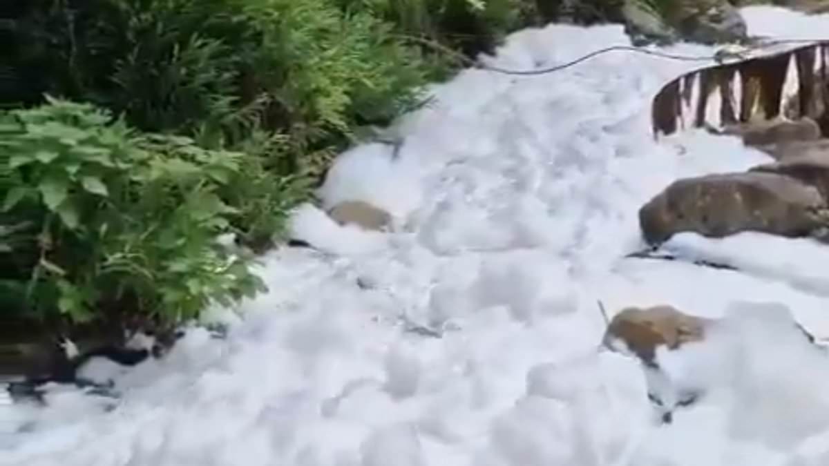 alert-–-shocking-footage-shows-river-of-white-foam-in-brazil-after-truck-carrying-acid-crashed-and-contaminated-drinking-water-for-thousands-of-residents