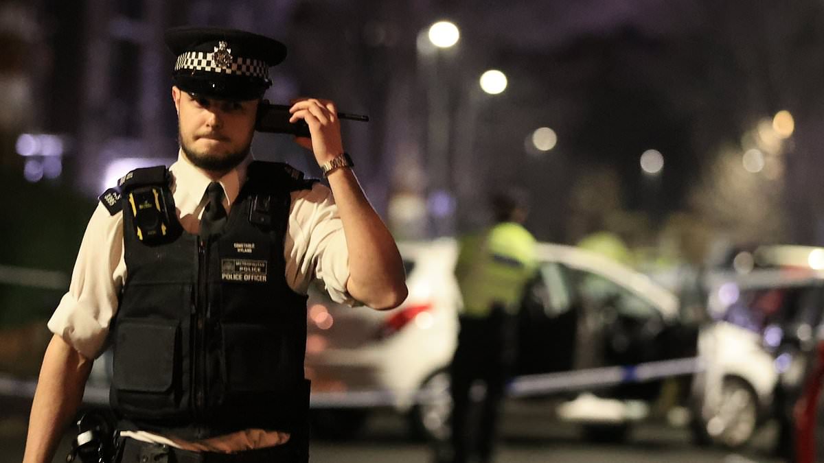 alert-–-london-acid-attack:-thug-targets-mother-and-her-two-children-in-clapham-south-leaving-her-screaming-‘my-eyes’-–-as-manhunt-continues-after-nine-people-were-hurt-including-hero-passers-by-and-police