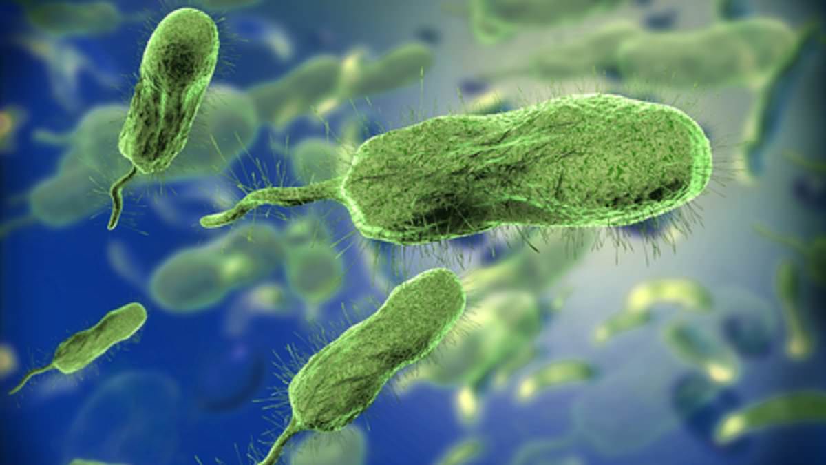 alert-–-cdc-warn-cases-of-deadly-flesh-eating-bacterial-infection-linked-to-climate-change-have-doubled-in-a-year-–-and-are-killing-americans-in-their-30s