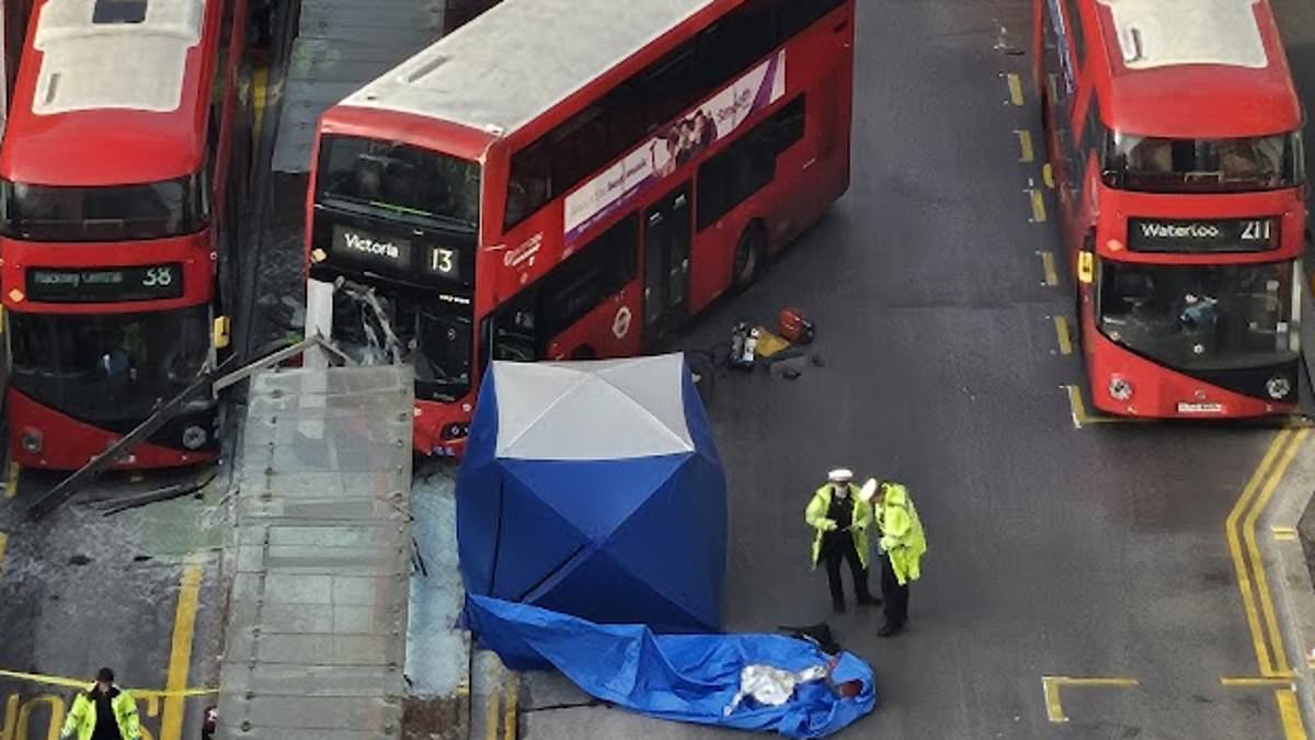 alert-–-revealed:-six-people-have-died-on-tfl-tubes-or-buses-in-past-six-weeks-including-woman-who-fell-down-piccadilly-circus-stairs