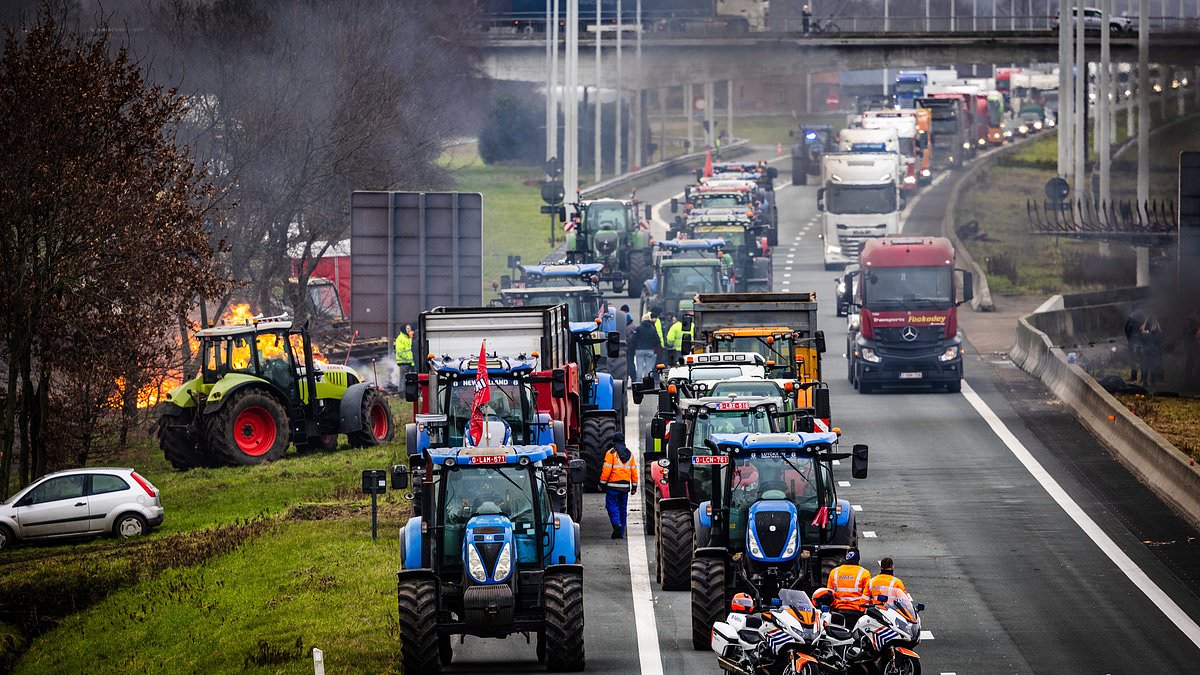 alert-–-belgian-farmers-lay-siege-to-huge-north-sea-port-and-block-dutch-border-crossings-while-germany-grinds-to-a-halt-with-crippling-transport-strikes-as-eu-scrambles-to-defuse-protest-chaos-engulfing-europe
