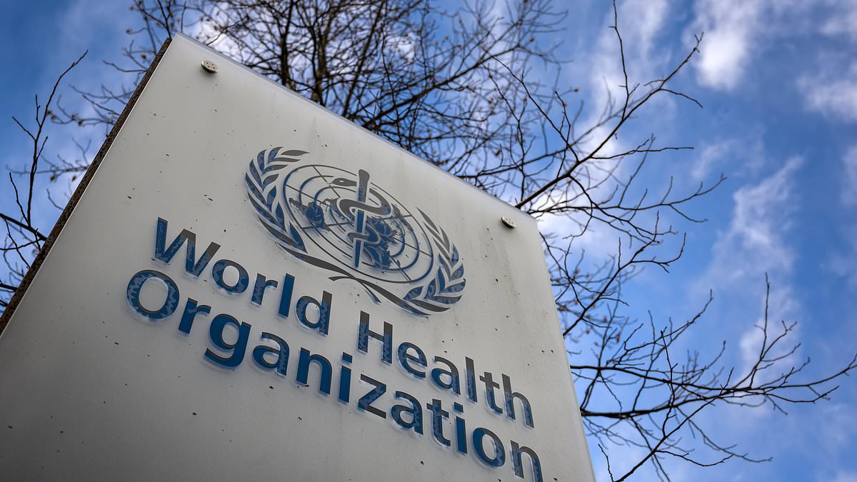 alert-–-un-trans-health-panel-accused-of-cronyism:-80%-of-who’s-‘experts’-flagged-for-conflicts-of-interest-–-eyeing-profits-from-hormones-and-sex-change-ops-they’re-pushing-as-global-standards