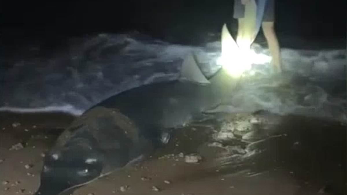 alert-–-port-hedland-teen-anglers-stunned-after-they-reeled-in-a-sawfish,-one-of-the-world’s-largest-–-and-rarest-–-fish-species