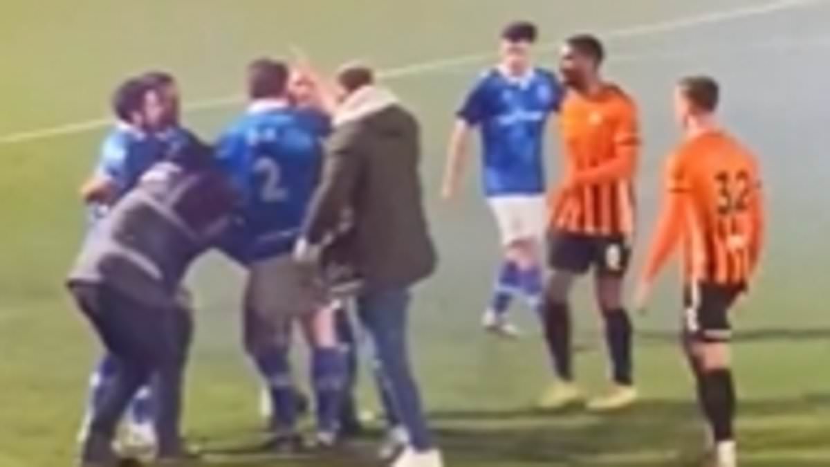 alert-–-non-league-match-descends-into-chaos-as-a-steward-is-punched-by-pitch-invader-following-last-minute-equaliser…-with-the-referee-hit-by-a-smoke-bomb-thrown-from-the-stands