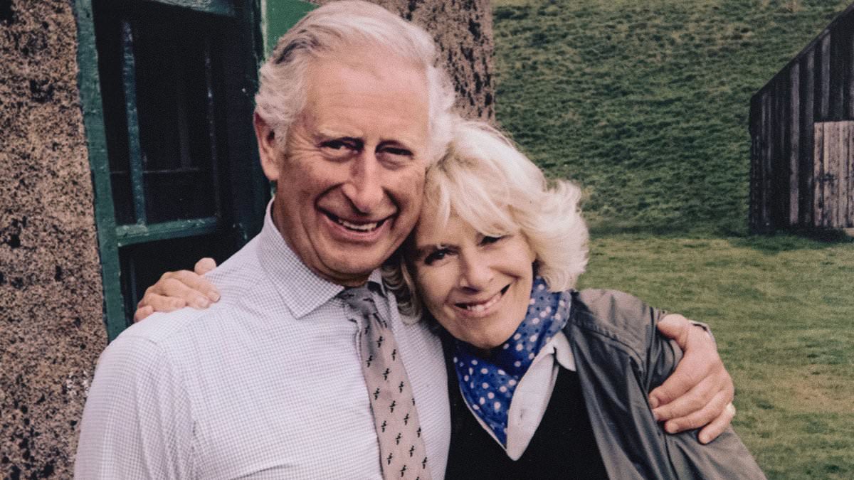 alert-–-‘camilla?-she’s-a-bloody-brick’:-the-queen-will-be-with-charles-every-step-of-the-way.-and-their-ability-to-laugh-together-will-be-needed-more-than-ever-during-this-health-crisis,-writes-rebecca-english